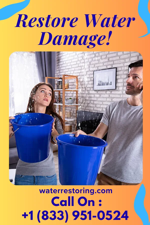 water restoration Prime Water Solutions Company New Kingstown